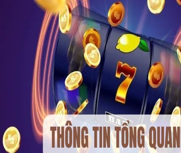 Thông tin tổng quan về chúng tôi - Nhà cái 33win